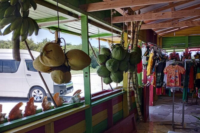 private-montego-bay-highlights-day-tour