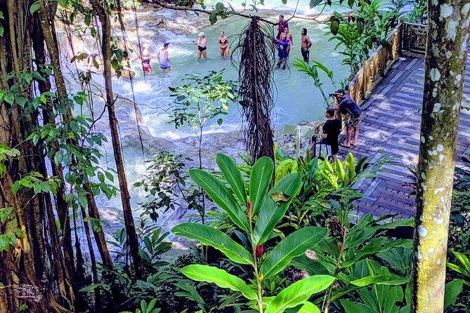 private-ocho-rios-highlight-tour