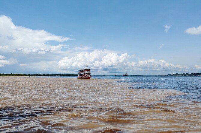 private-river-tour-by-speedboat-in-the-amazon-lily-pads-nature