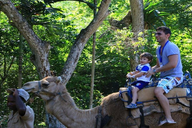 private-round-trip-transfer-to-yaaman-adventure-park-ocho-rios