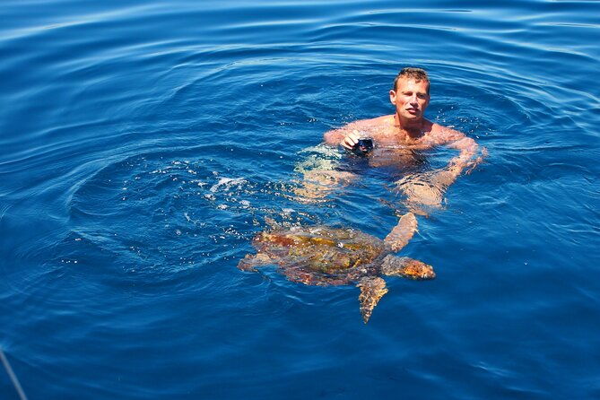 private-sailing-dolphin-experience-from-estepona-drink-food