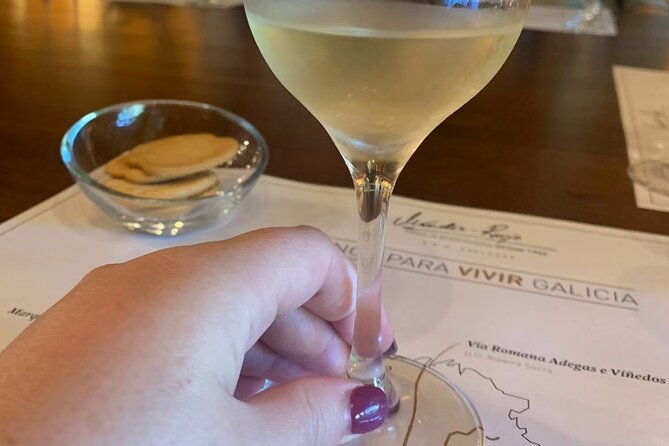 private-shore-tour-galicia-south-atlantic-coast-portugal-wine