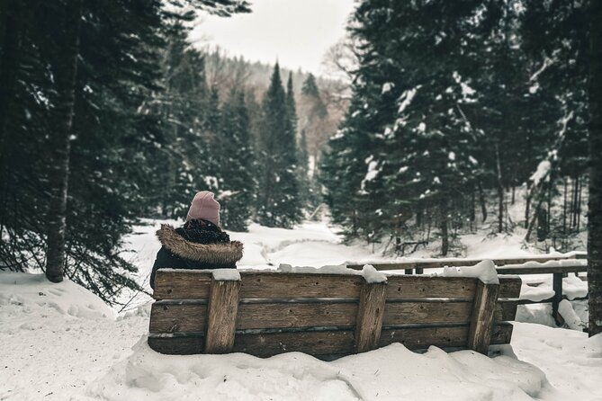 private-snowshoeing-adventure-from-badger-pass-to-dewey-point