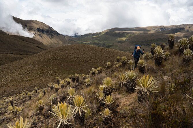 private-summit-of-nevado-tolima-4-day-all-inclusive-hike