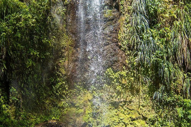 private-tet-paul-nature-trail-mud-baths-waterfall
