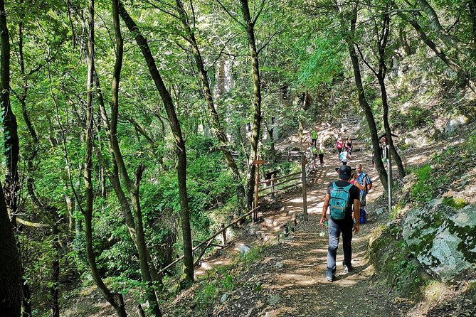 private-tour-amalfi-valle-delle-ferriere-nature-reserve-walking-tour