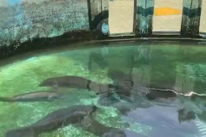 private-tour-at-the-zoo-and-science-forest-in-manaus