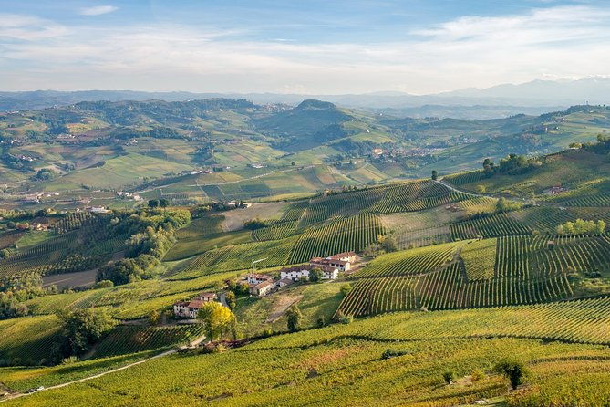 private-tour-barolo-wine-tasting-in-langhe-area-from-torino