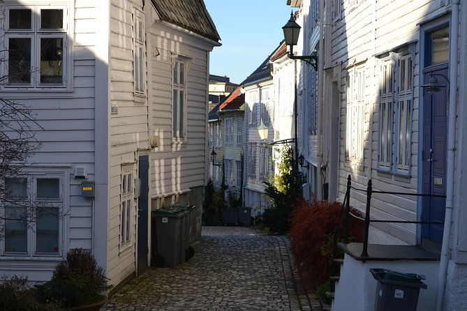 private-tour-bergen-city-sightseeing-3-hours