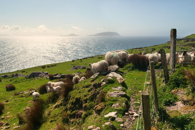 private-tour-dingle-peninsula-from-dingle