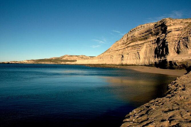 private-tour-for-cruises-around-peninsula-valdes