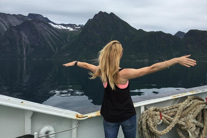 private-tour-geiranger-and-glaciers-1-to-15-people