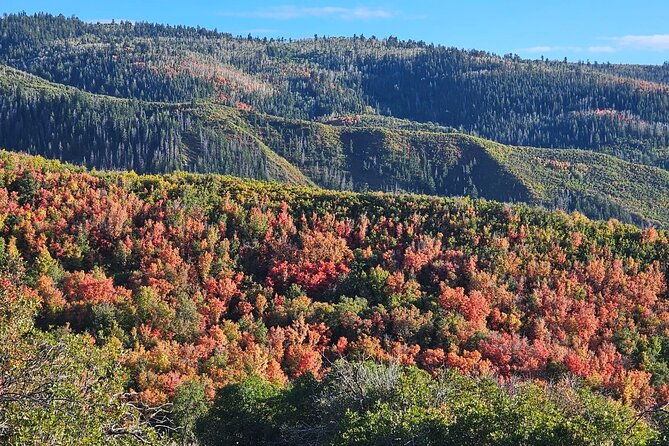 private-tour-in-heber-valley