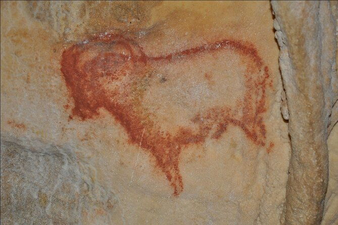 private-tour-into-an-original-prehistoric-cave-by-exploreo-sarlat