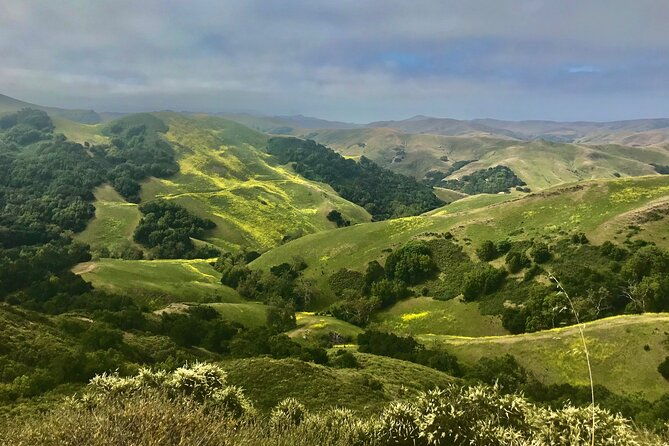 private-tour-of-californias-central-coast-san-luis-obispo-paso-robles-cambria