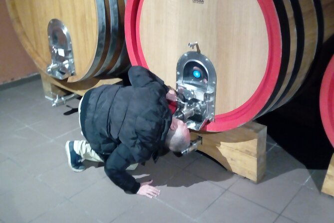 private-tour-of-mount-etna-with-etna-doc-wine-tasting