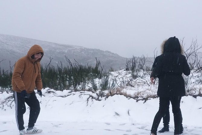 private-tour-through-serra-da-estrela-park-and-its-famous-cheese-2