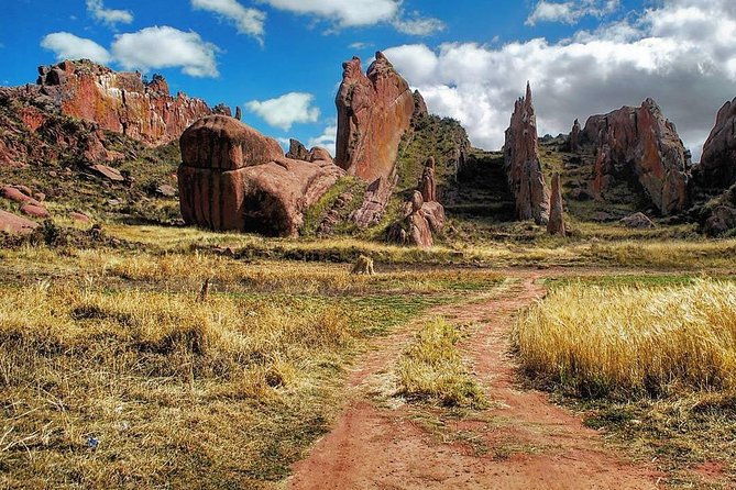 private-tour-to-aramu-muru-portal-from-puno