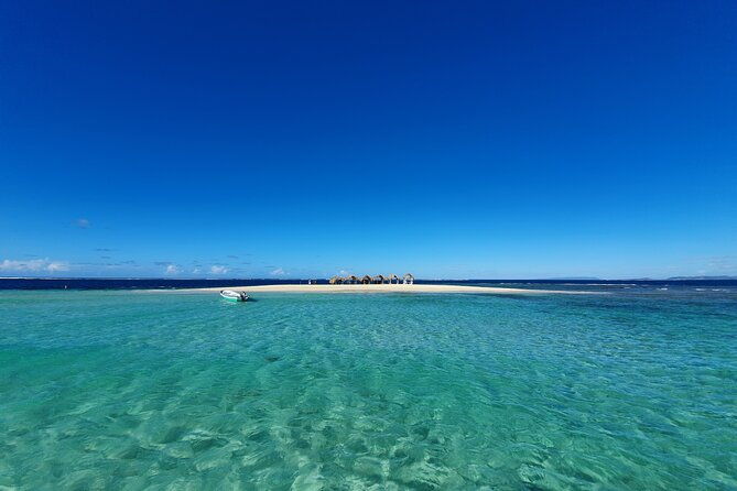 private-tour-to-paradise-island-with-snorkel-manatee-sanctuary