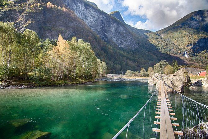 private-tour-to-sognefjord-and-flam-from-bergen-24-hr-refundable
