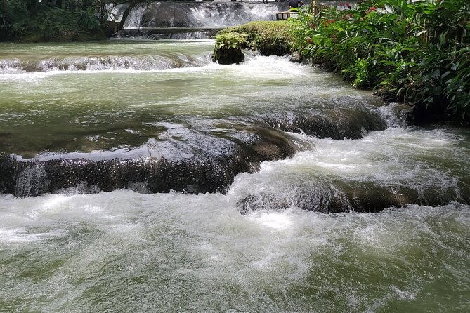 private-tour-to-ys-falls-appleton-rum-tour-and-pelican-bar-from-montego-bay