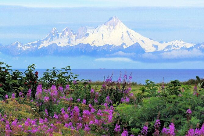 private-transfer-seward-cruise-ship-to-anchorage
