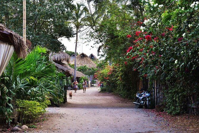 private-transportation-service-from-santa-marta-to-palomino