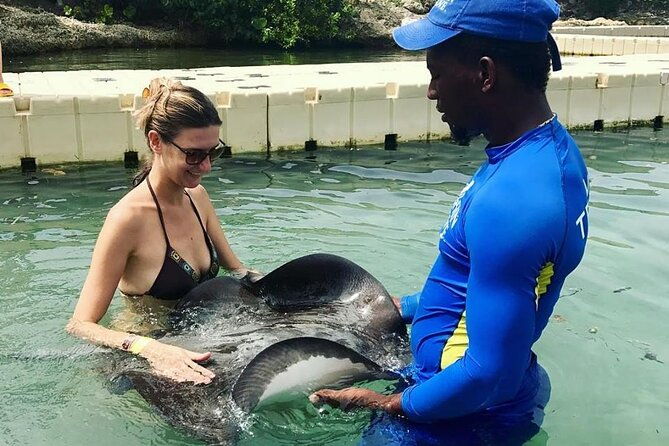 private-transportation-to-from-dolphin-cove-in-montego-bay