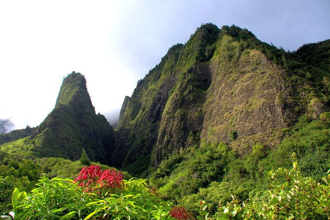 private-tropics-of-maui-rainforest-valley-kahului-wailea-kihei-pick-up