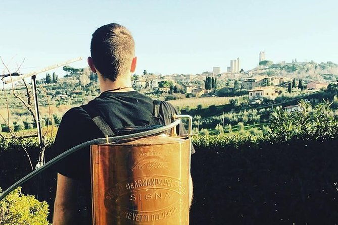 private-tuscan-lunch-with-wine-evo-oil-tasting-in-the-vineyard
