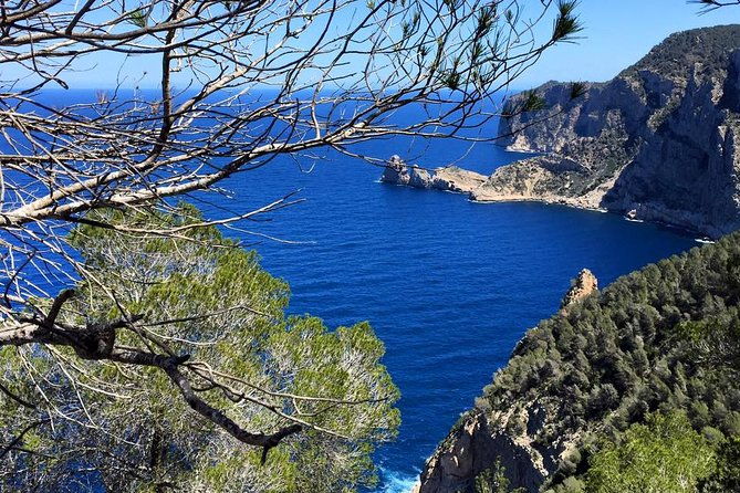 private-walking-hiking-experience-ibiza
