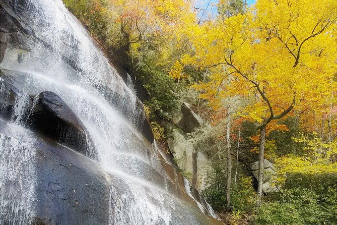 private-waterfall-and-blue-ridge-parkway-tour-with-a-naturalist-2