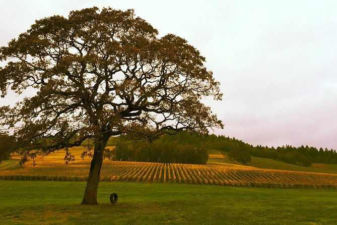private-willamette-valley-wine-tour-from-portland-tasting-fees-included
