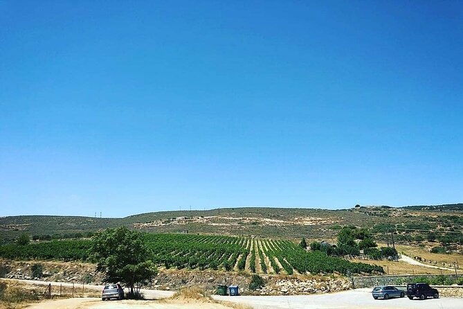 private-wine-tasting-lunch-lyrarakis-winery-transfer-inclu