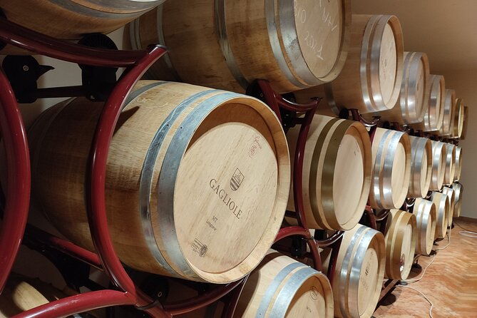 private-wine-tour-in-chianti-classico-with-sommelier-2-wineries