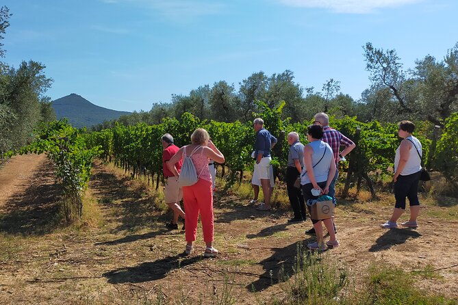 private-wine-tour-with-sommelier-the-magical-bolgheri-2-wineries