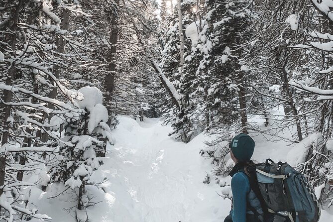 privately-guided-snowshoe-experience-2