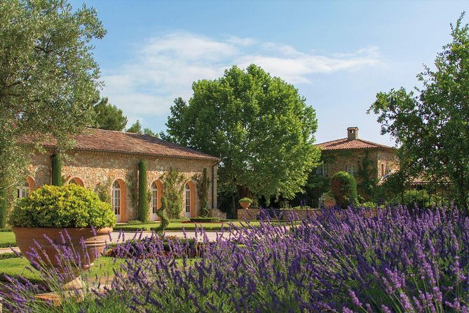 provence-wine-tour-private-day-tour-from-cannes
