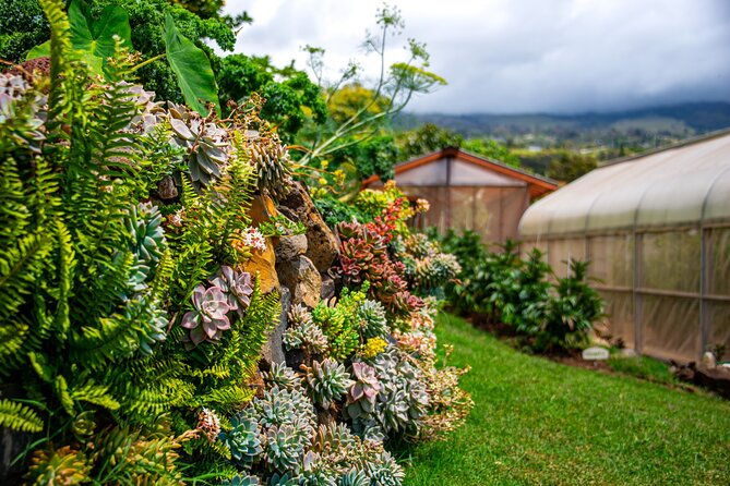 pueo-farm-tour-in-upcountry-kula-maui-hawaii