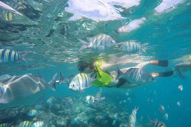 puerto-plata-shore-excursion-snorkeling-tour-sosua-beach-day
