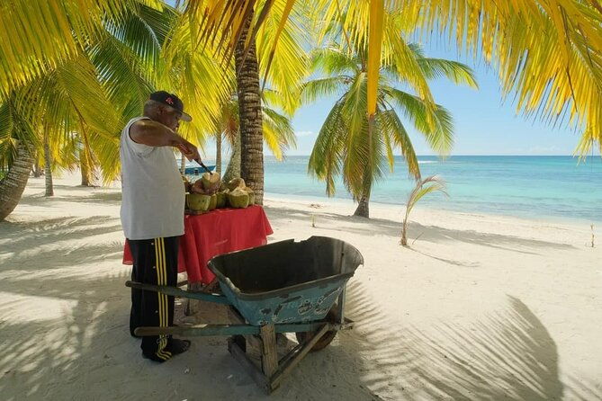 punta-cana-saona-island-catamaran-open-bar-food-hotel-pickup