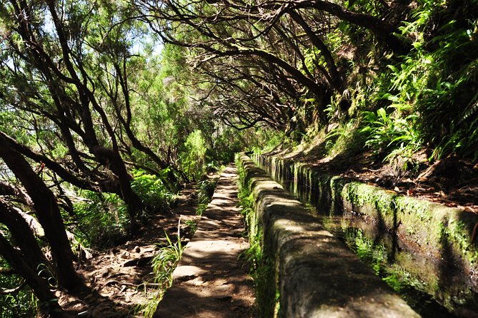 rabacal-levada-das-15-fontes