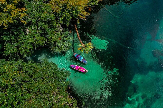 rainbow-springs-paddle-board-adventure
