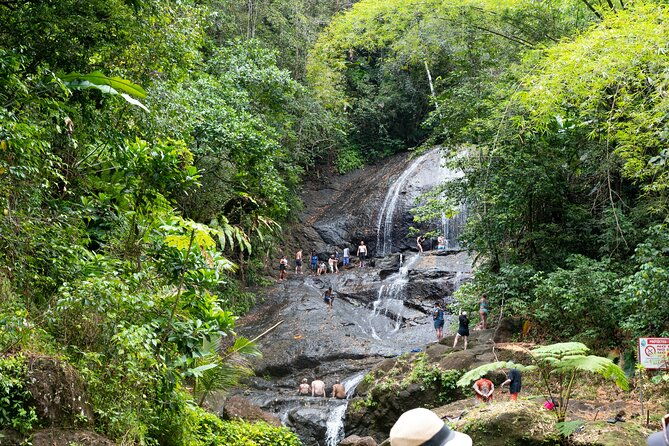 rainforest-hike-and-waterfall-safari