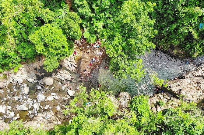 rainforest-nature-walk-luquillo-beach-combo