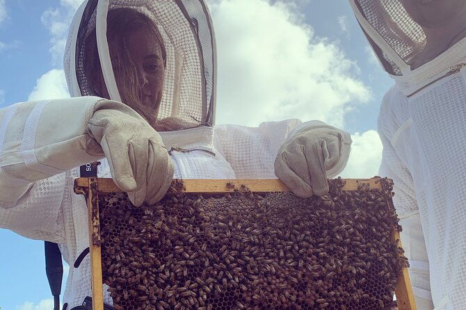 reagans-honey-beekeeping-adventure