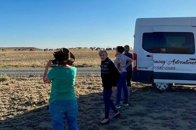 red-canyon-small-group-wild-mustang-van-tours-in-cody-wyoming