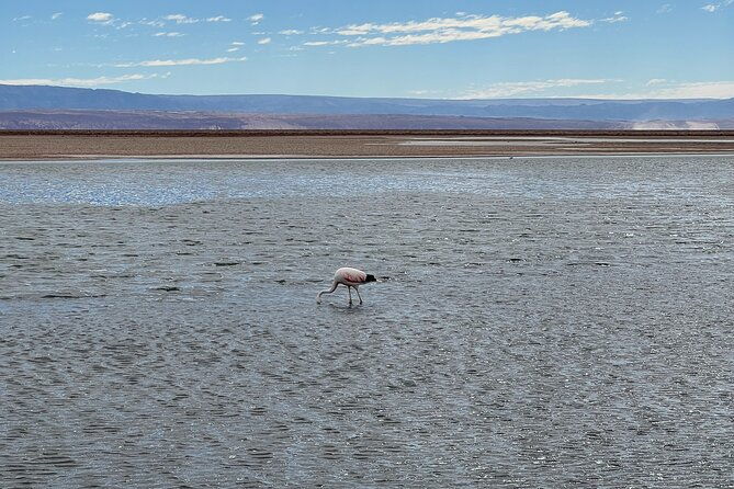 red-stones-altiplanic-lagoons-and-the-atacama-salt-flat