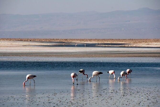 red-stones-salt-flats-and-high-plateau-lagoons