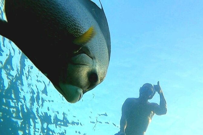 reef-snorkel-ocean-paddle-adventure-in-fort-lauderdale-beach